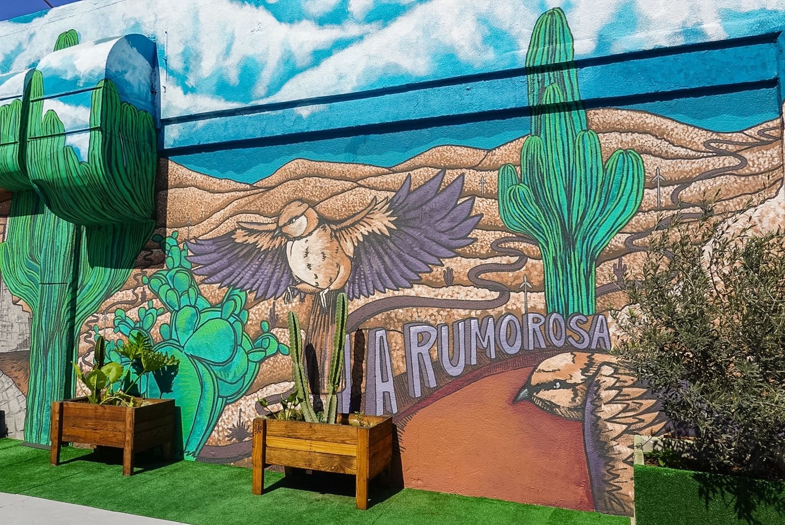 WhatsApp Image 2026-03-31 at 2.15.58 PM (1)