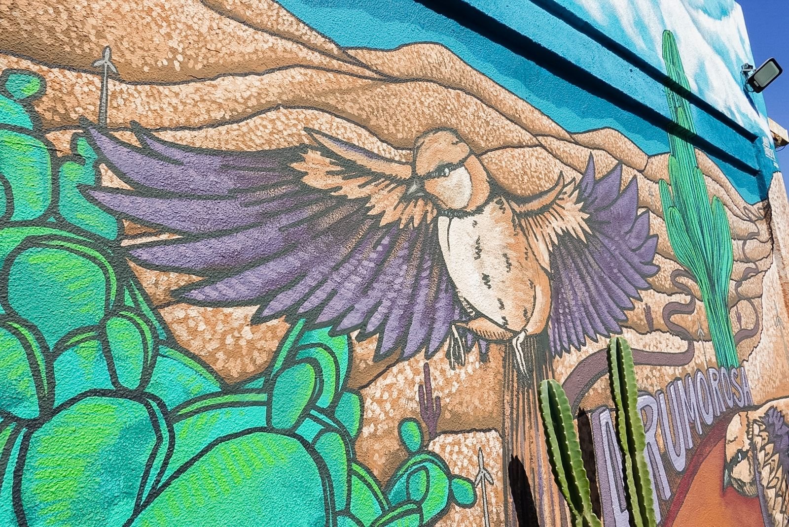 WhatsApp Image 2026-03-31 at 2.15.59 PM