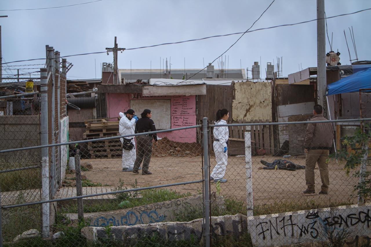 WhatsApp Image 2026-03-31 at 6.12.29 PM (1)