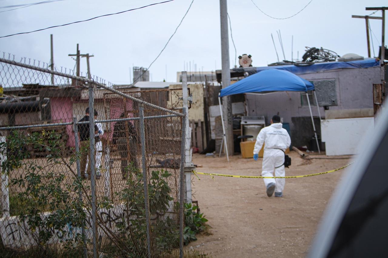 WhatsApp Image 2026-03-31 at 6.12.29 PM (3)