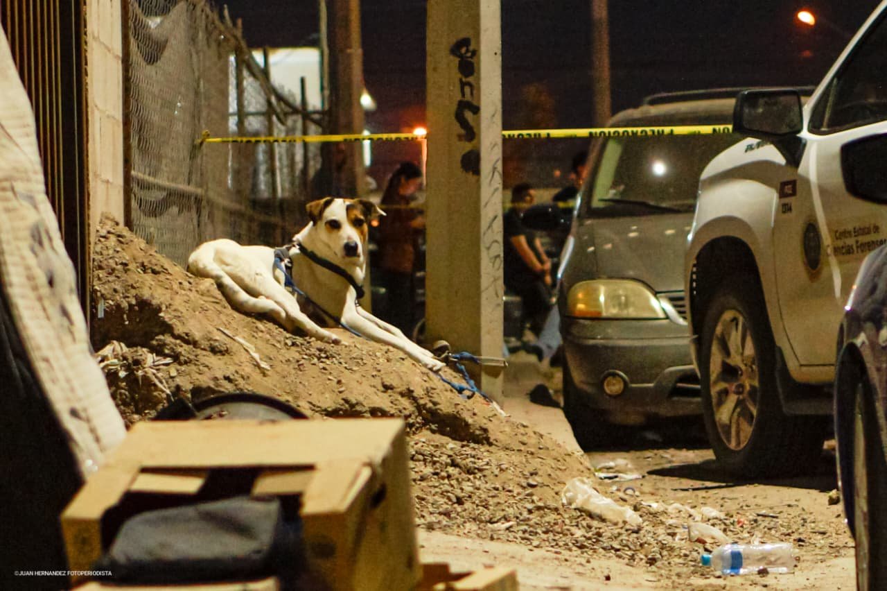 WhatsApp Image 2026-03-31 at 8.02.12 AM (4)