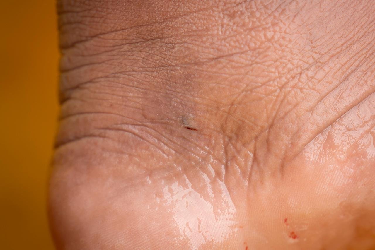 WhatsApp Image 2026-04-02 at 11.12.38 AM