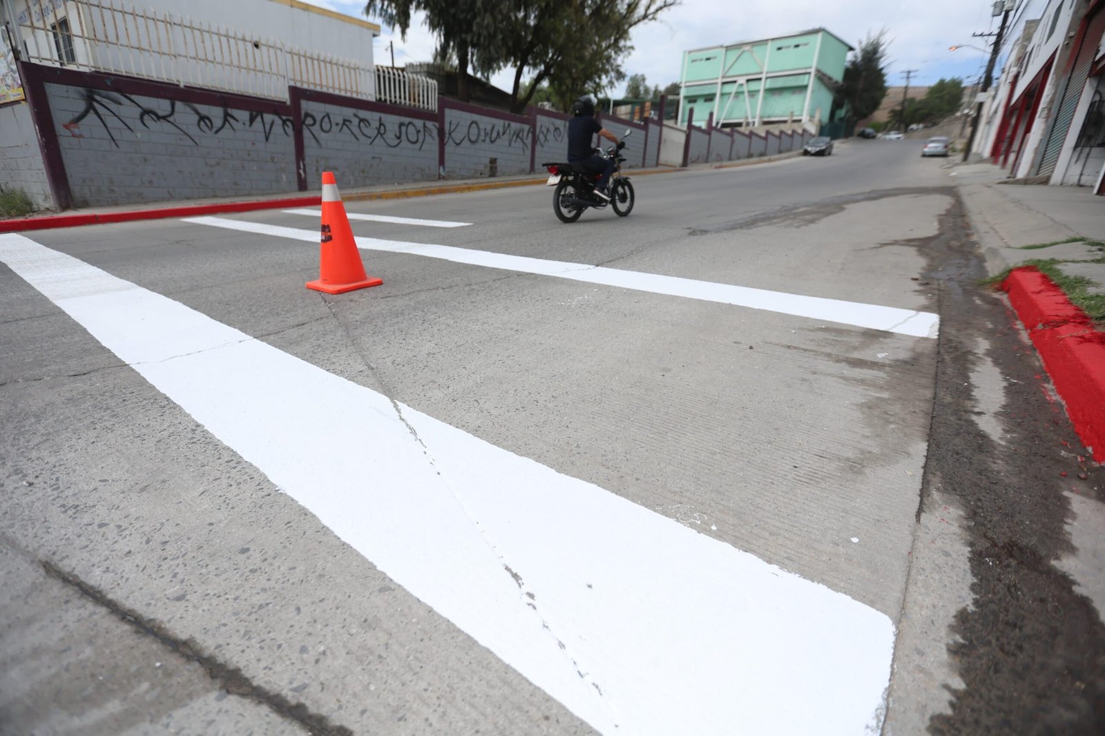 WhatsApp Image 2026-04-06 at 3.45.50 PM