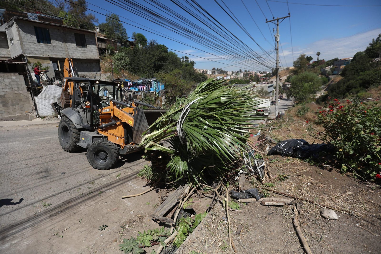 WhatsApp Image 2026-04-06 at 3.45.51 PM