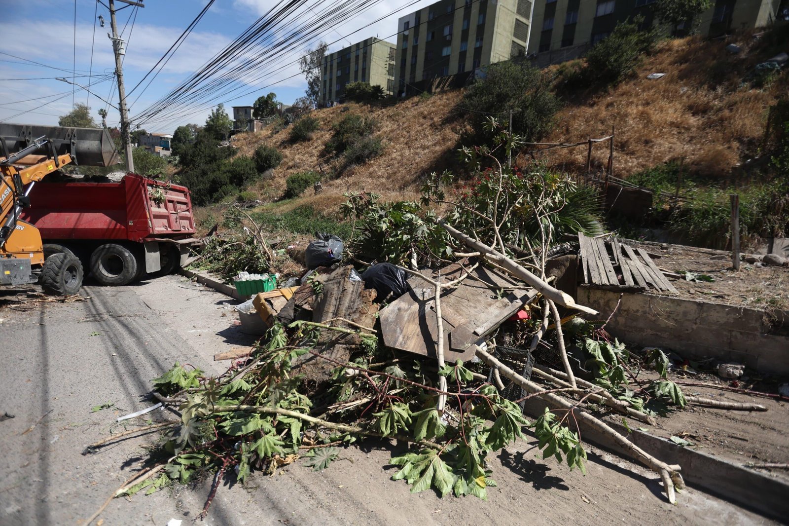 WhatsApp Image 2026-04-06 at 3.45.52 PM (1)