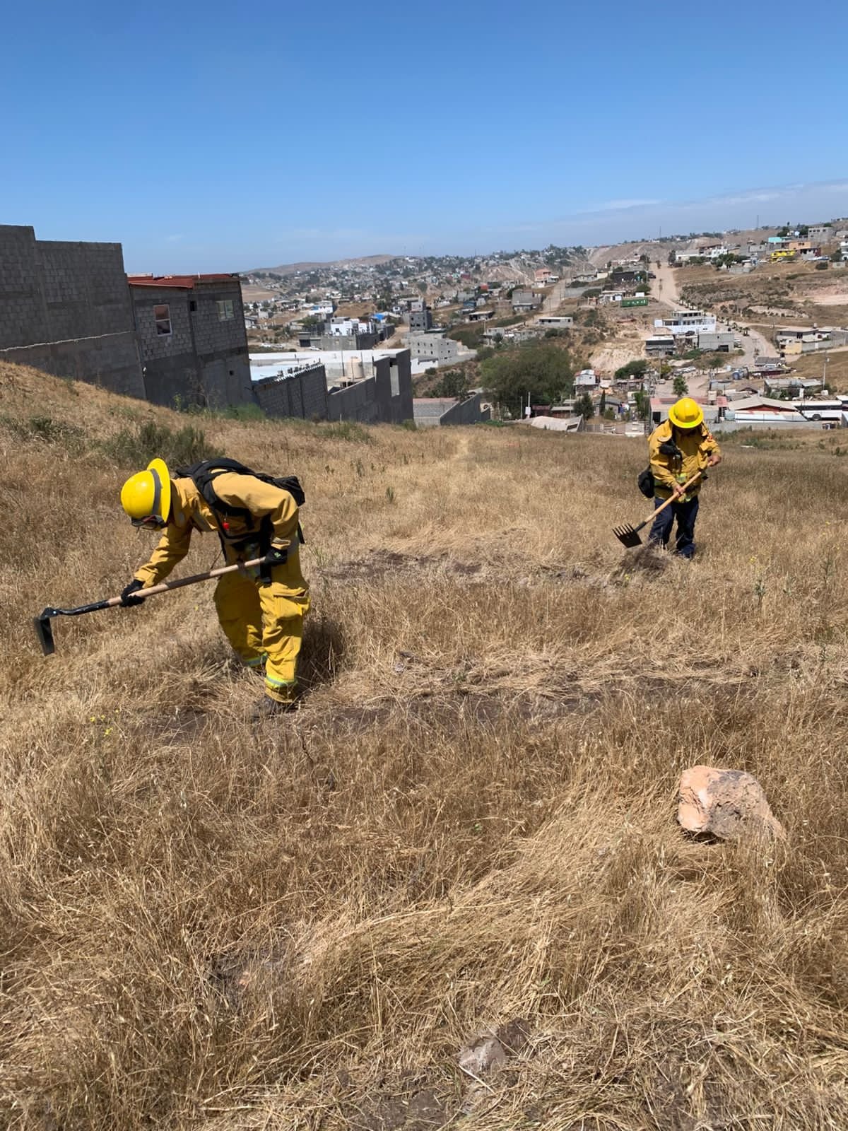 WhatsApp Image 2026-04-07 at 10.29.03 AM (1)