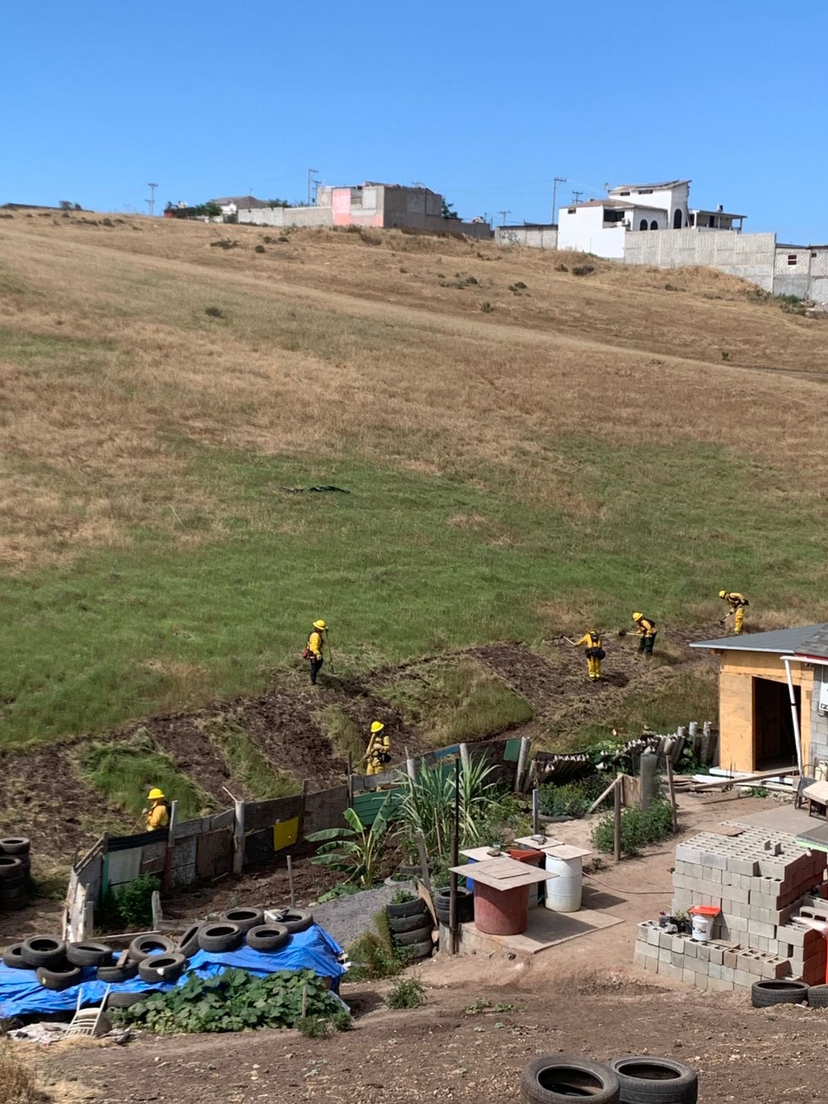 WhatsApp Image 2026-04-07 at 10.29.03 AM