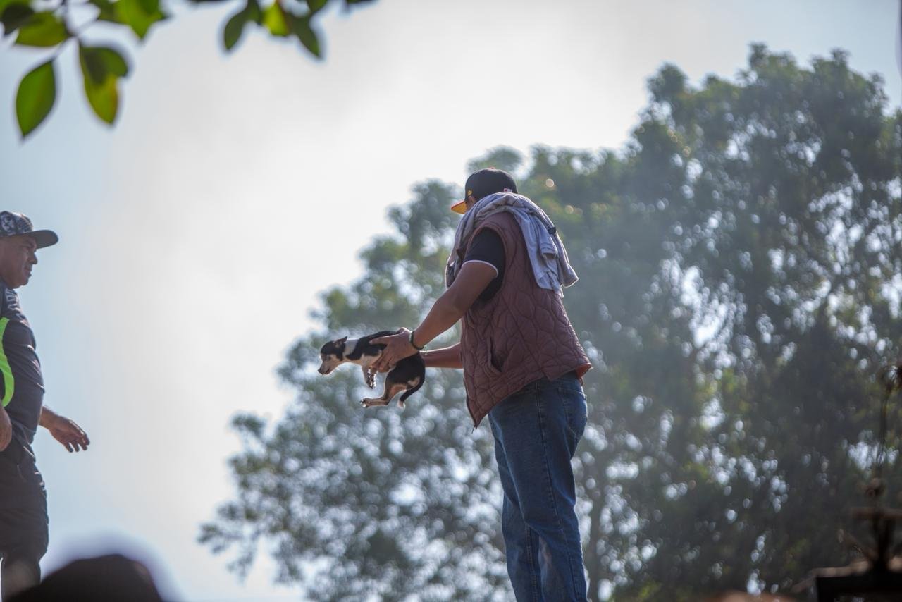 WhatsApp Image 2026-04-07 at 10.33.52 AM (1)