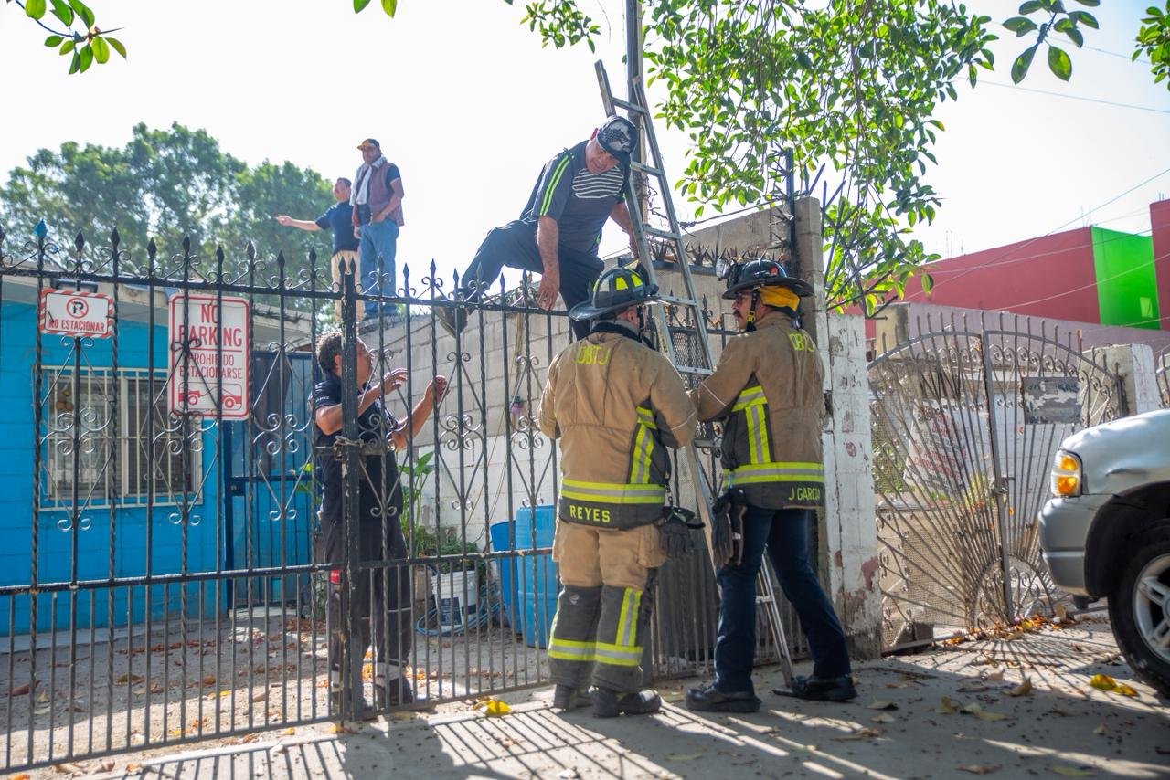 WhatsApp Image 2026-04-07 at 10.33.52 AM