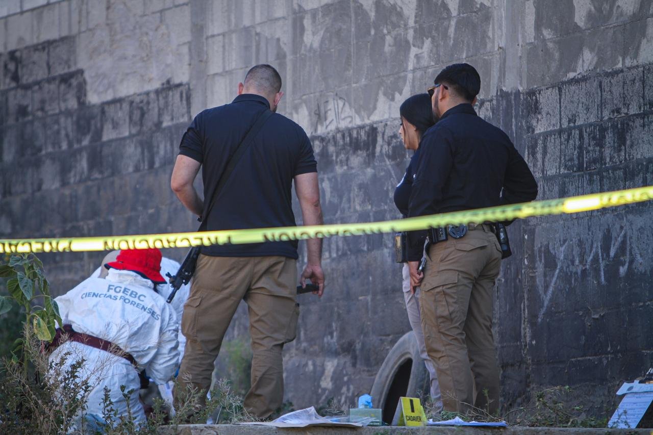 WhatsApp Image 2026-04-07 at 11.33.48 AM (1)