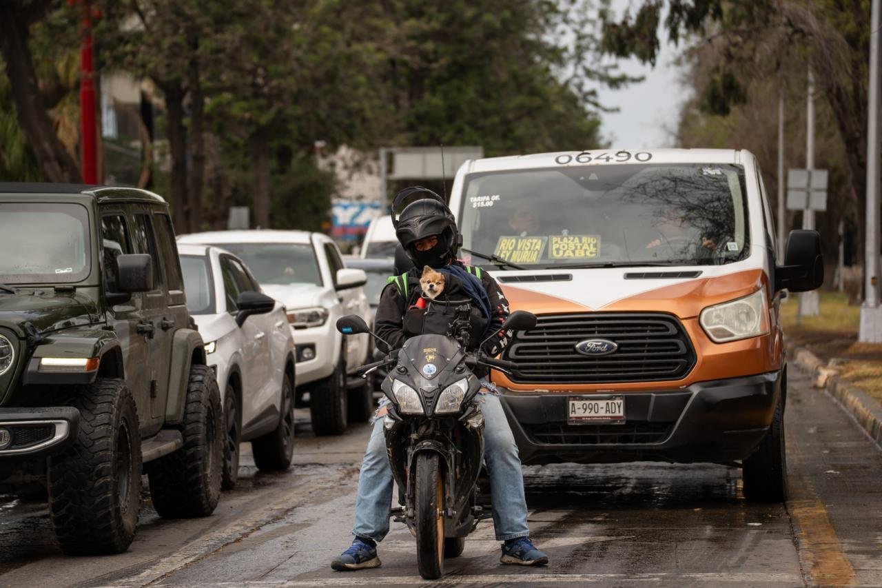 WhatsApp Image 2026-04-13 at 2.29.06 PM