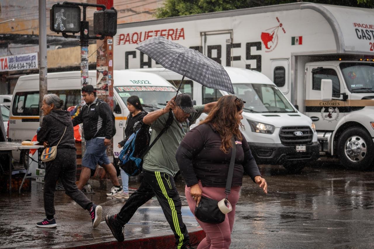 WhatsApp Image 2026-04-13 at 2.29.07 PM (3)