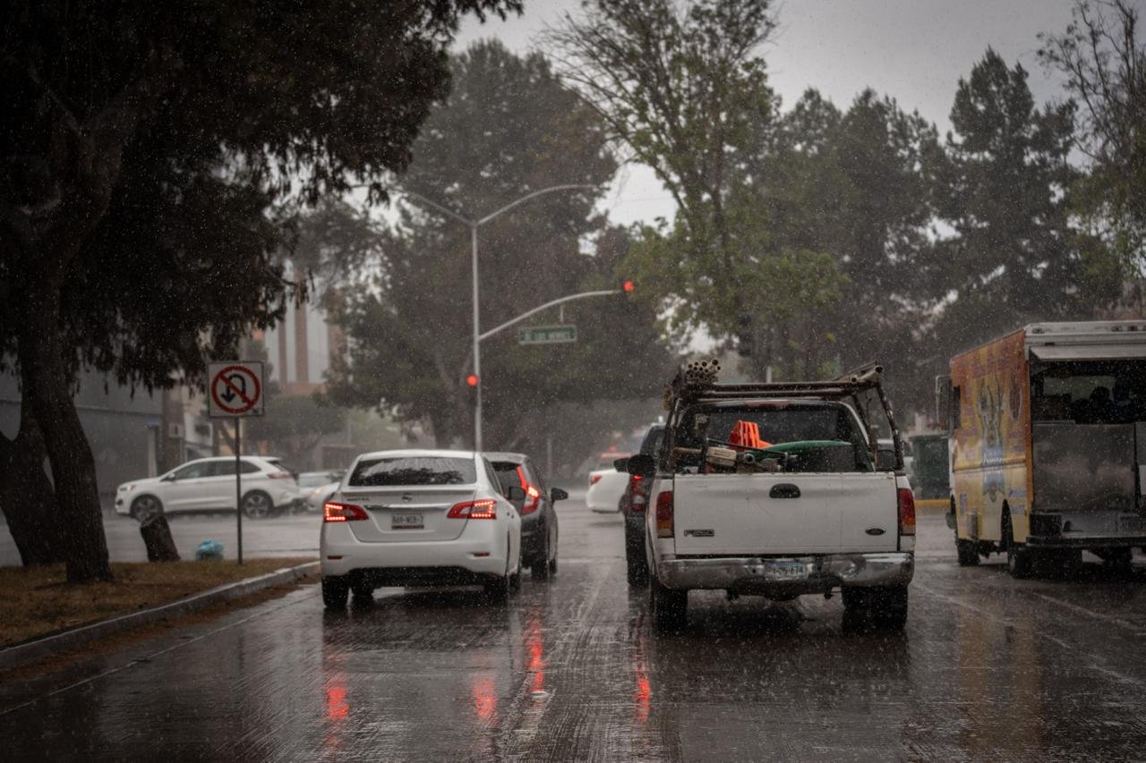 WhatsApp Image 2026-04-13 at 2.29.07 PM (5)