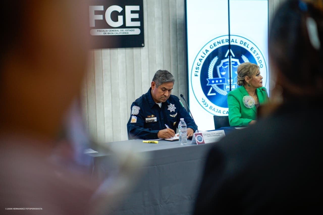 WhatsApp Image 2026-04-13 at 2.29.11 PM