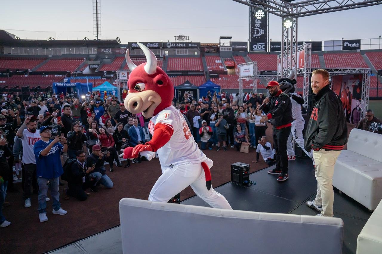 WhatsApp Image 2026-04-14 at 9.34.55 PM (3)