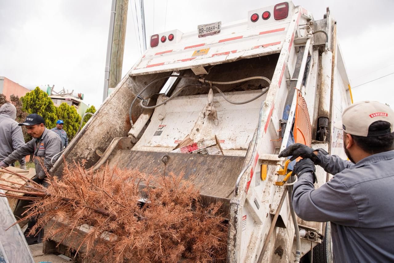 WhatsApp Image 2026-04-15 at 11.48.28 AM (1)