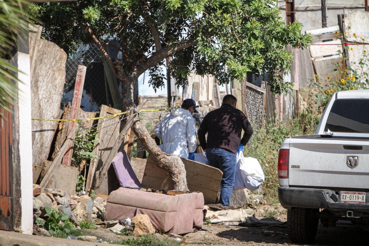 WhatsApp Image 2026-04-15 at 12.03.35 PM (3)