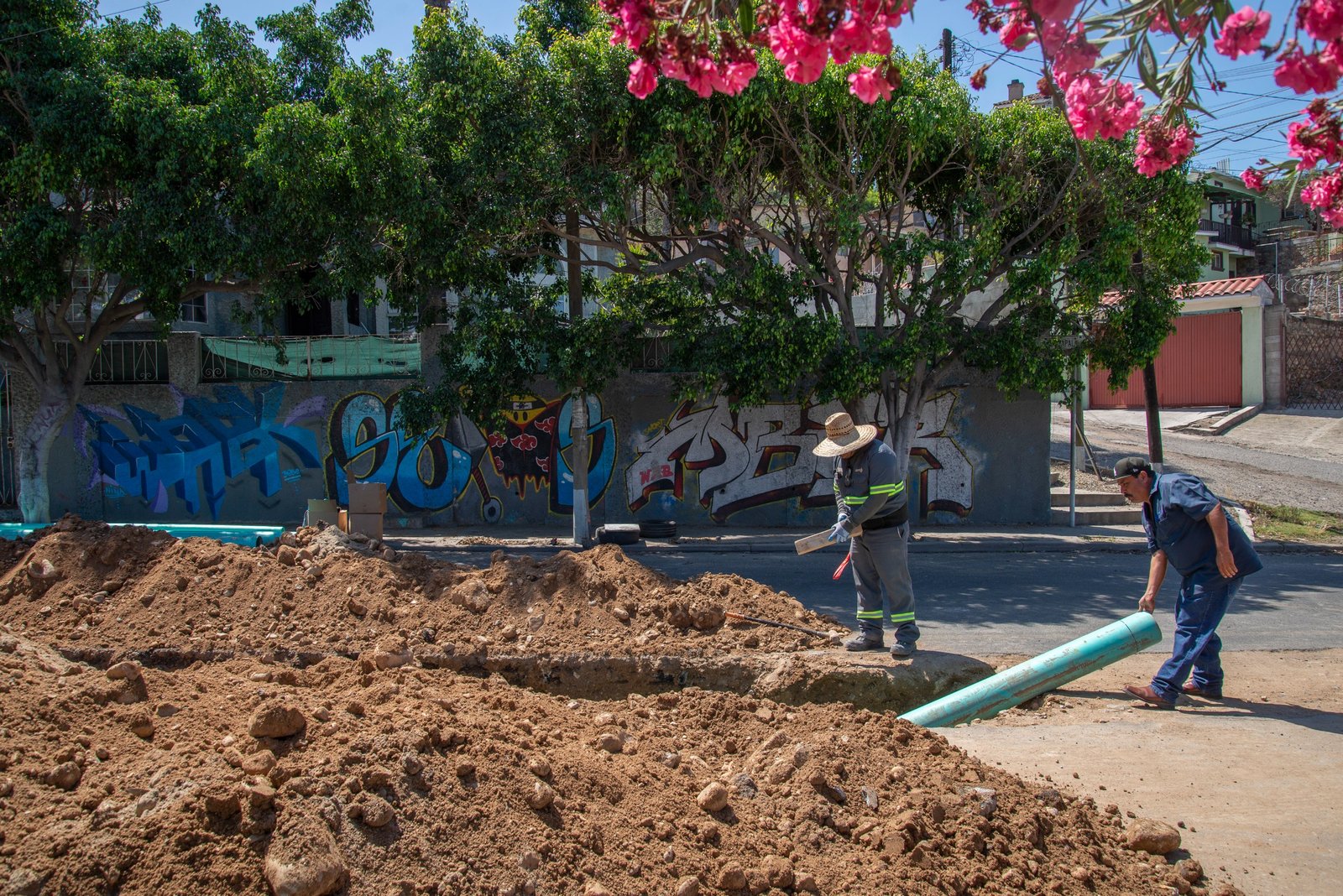 WhatsApp Image 2026-04-17 at 3.06.34 PM (3)