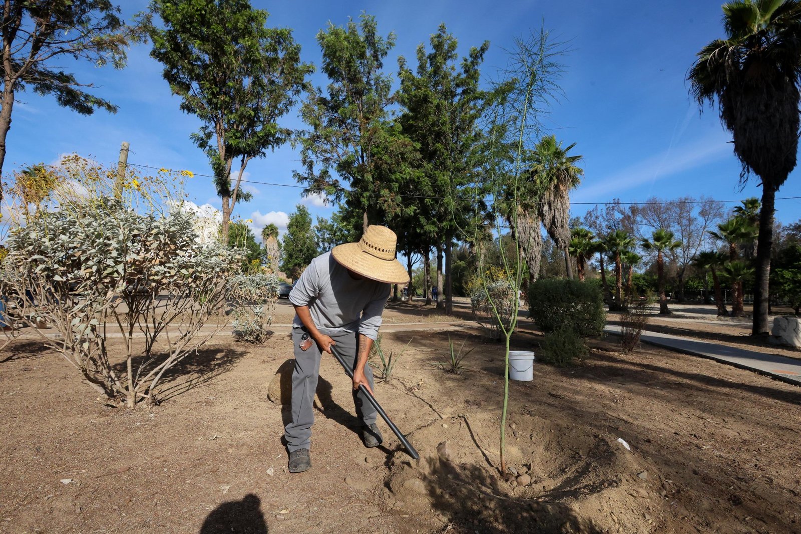 WhatsApp Image 2026-04-22 at 12.39.06 PM (1)