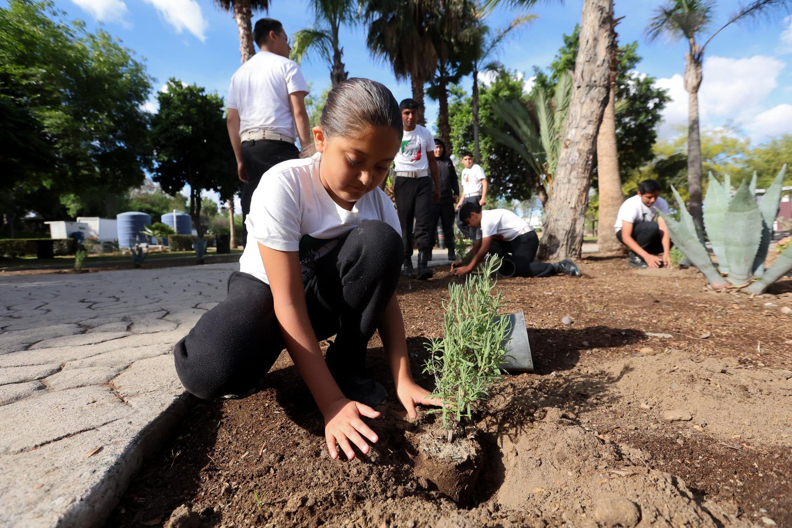 WhatsApp Image 2026-04-22 at 12.39.06 PM (2)