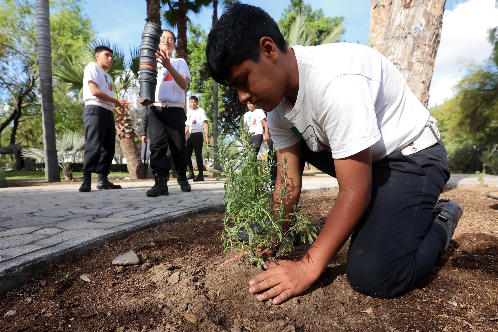 WhatsApp Image 2026-04-22 at 12.39.06 PM (3)