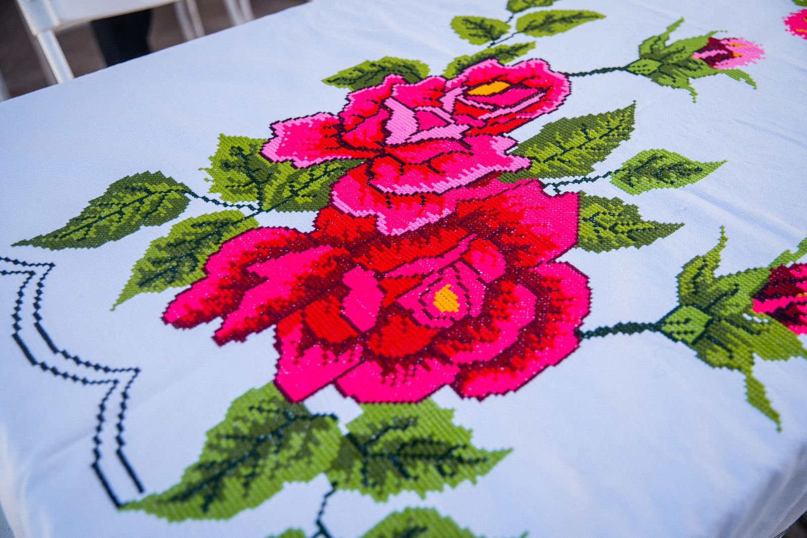 WhatsApp Image 2026-04-28 at 1.21.27 PM (3)