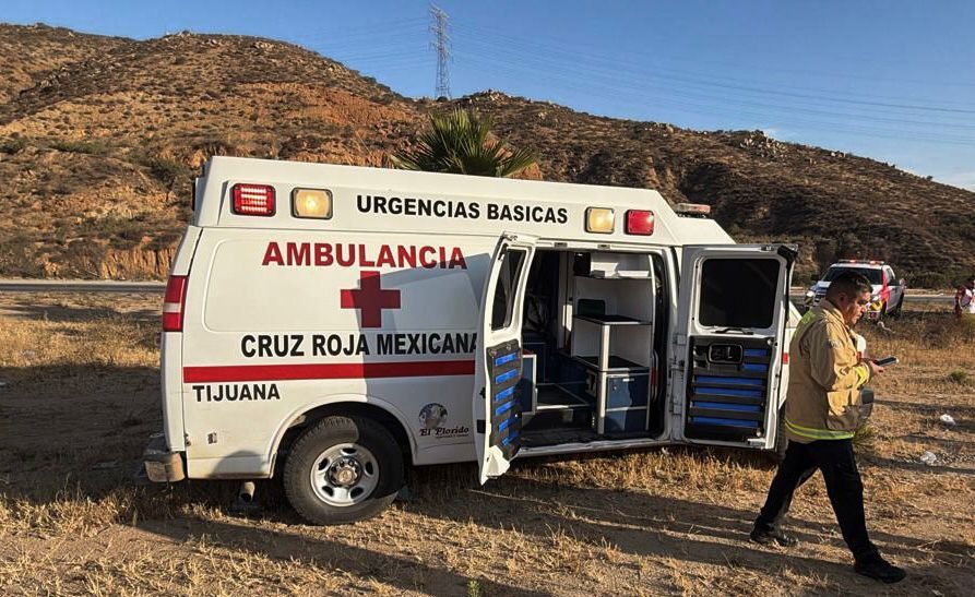 WhatsApp Image 2026-04-28 at 8.50.06 AM (1)