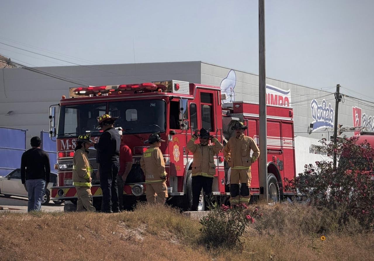 WhatsApp Image 2026-04-29 at 1.06.09 PM