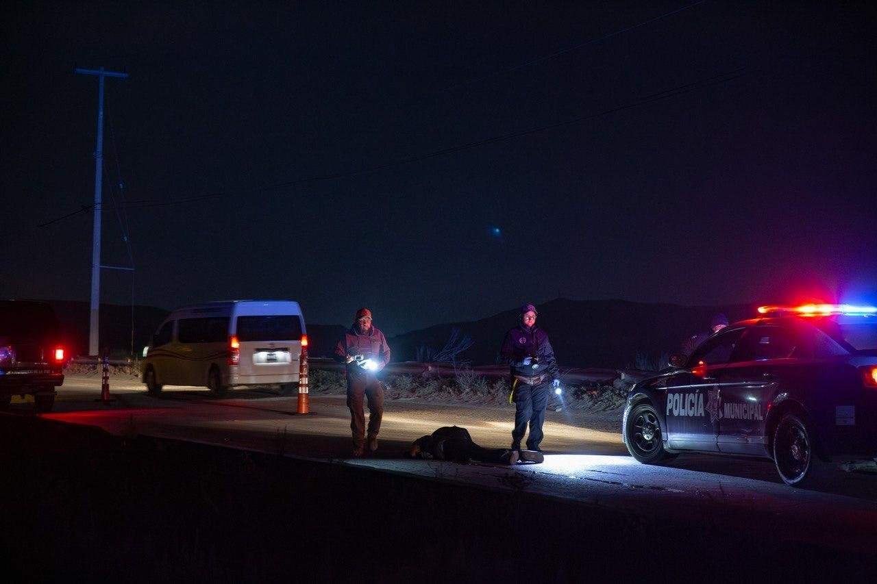 WhatsApp Image 2026-04-29 at 7.53.11 AM (5)